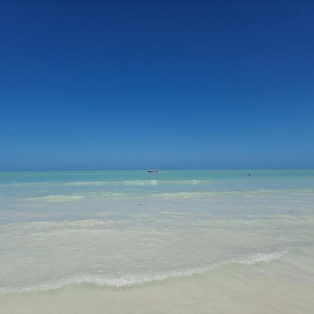 Luna Y Sol Glamping Holbox 外观 照片