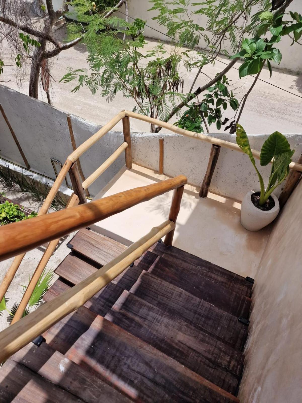 Luna Y Sol Glamping Holbox 外观 照片