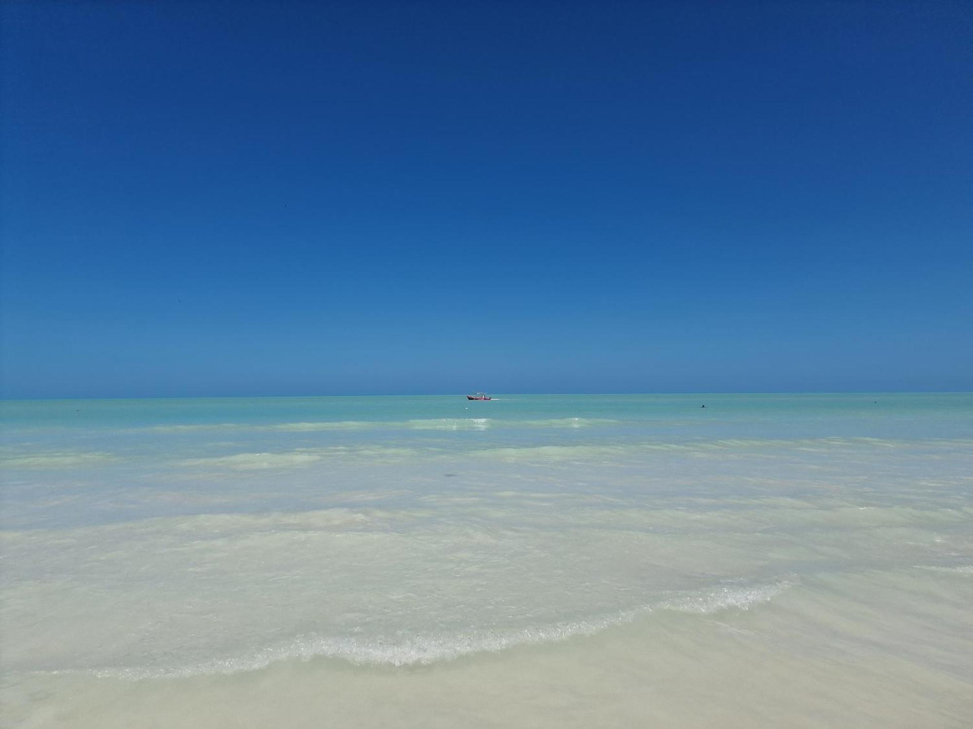 Luna Y Sol Glamping Holbox 外观 照片